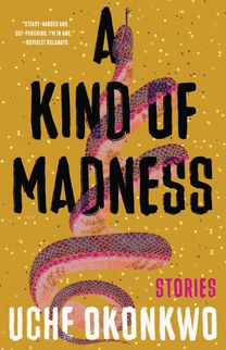 A Kind of Madness - Uche Okonkwo - Key Cover Art